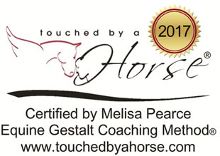Touched By A Horse certification