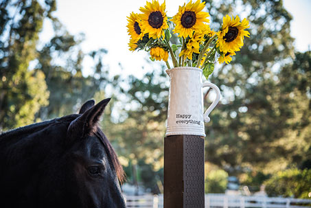 Horse and Flowers