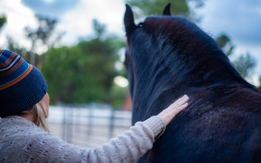 Horses Healing Vision and Manifestation